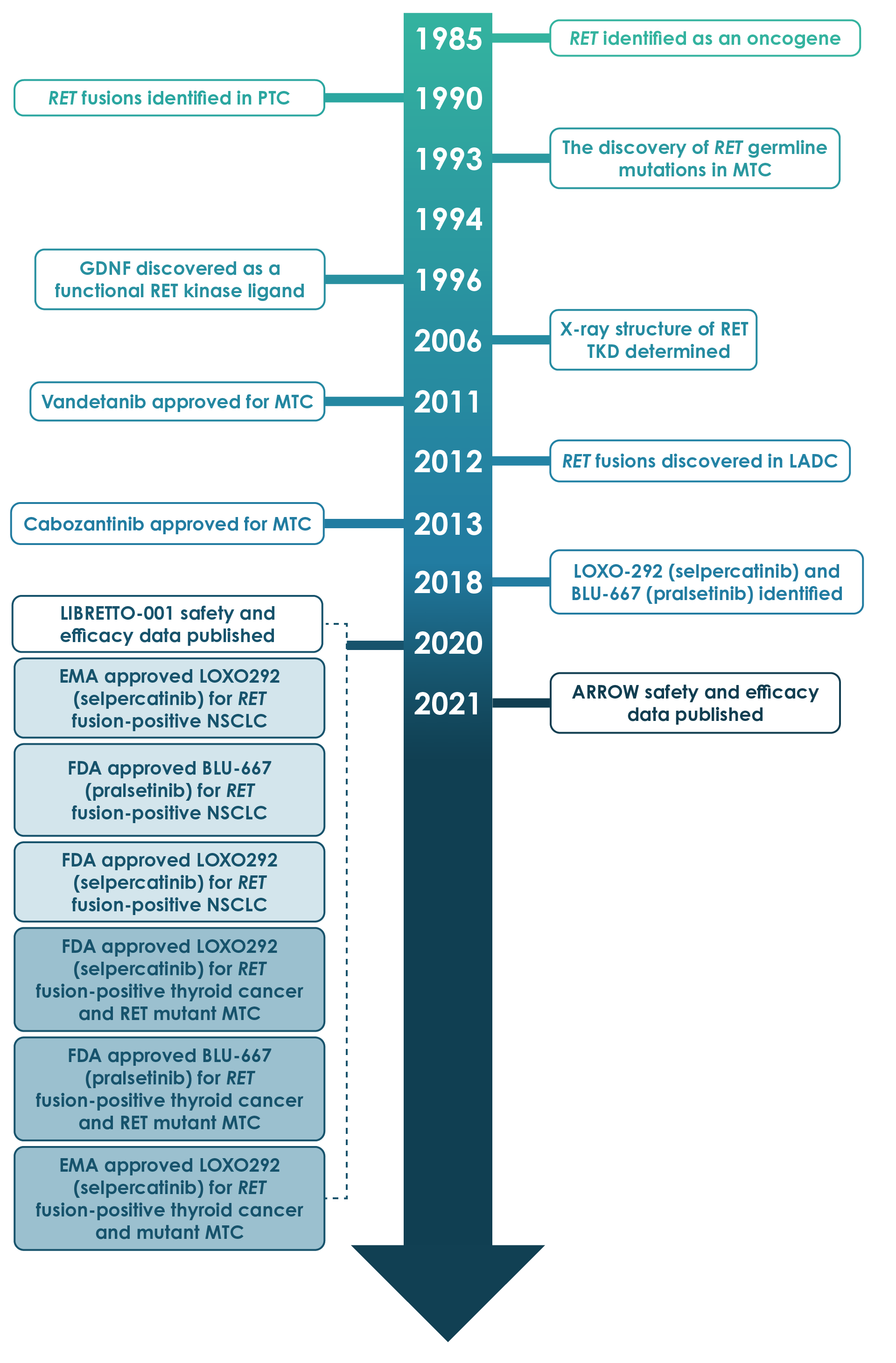 ret-inhibitors-ret-inhibition-in-nsclc-and-thyroid-cancer