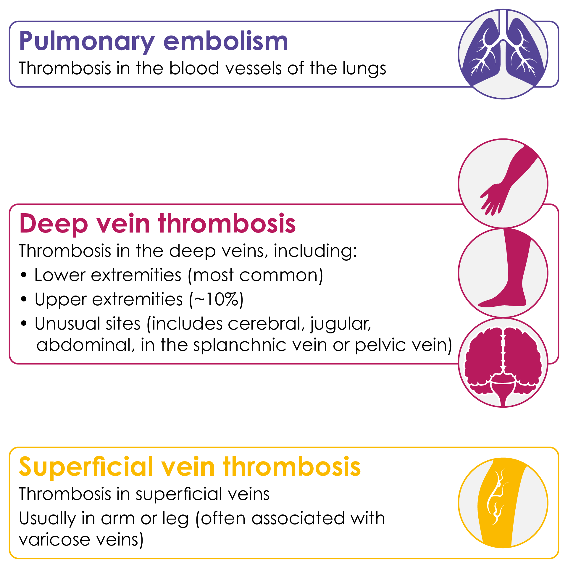 Venous Thromboembolism Vte Online Cpd Course Ausmed Hot Sex Picture 4427