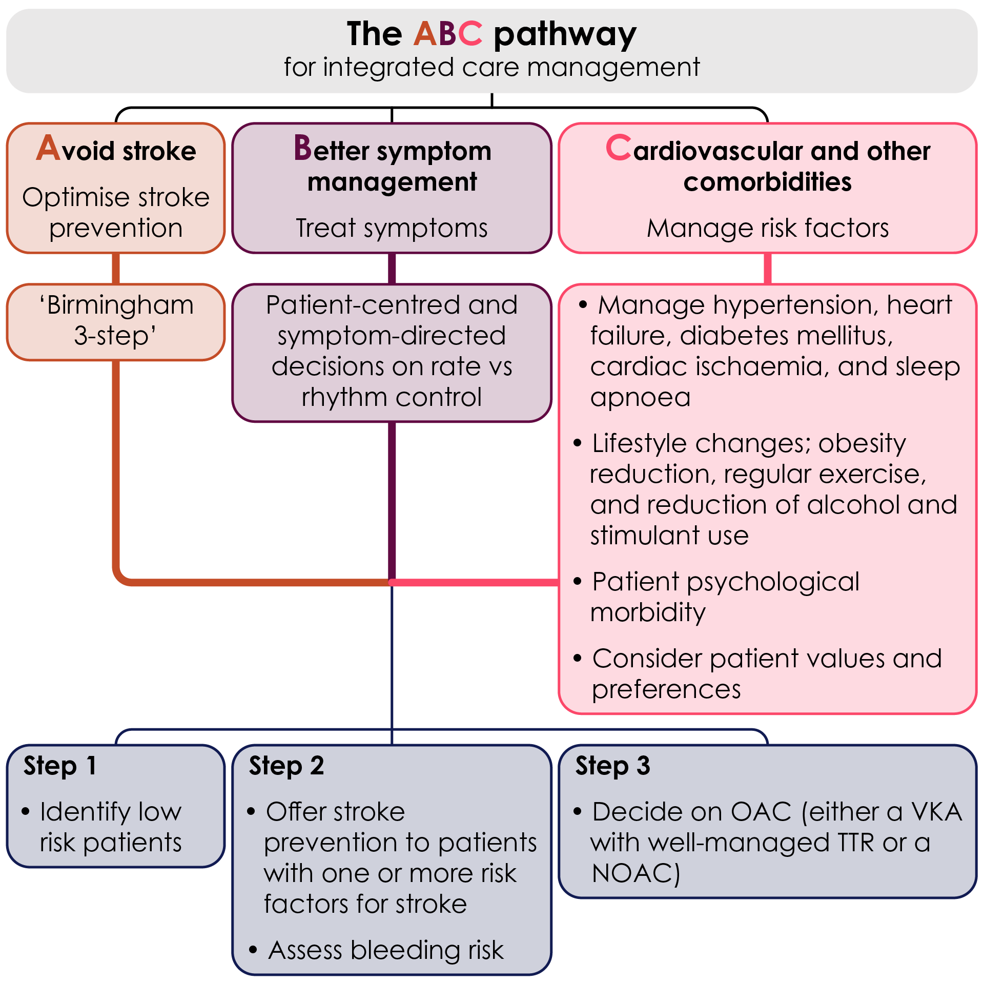 AF treatment | Anticoagulation Therapy for Stroke Prevention ...